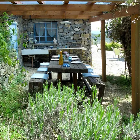 Azzurra - Ptb145 By Interhome Pietrabruna