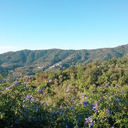 Azzurra - Ptb145 By Interhome Pietrabruna